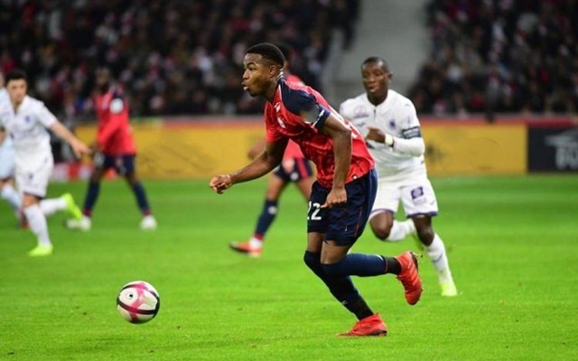 端表现出乏 端表现出乏