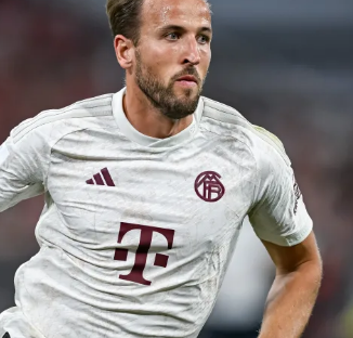 验和国际化 验和国际化