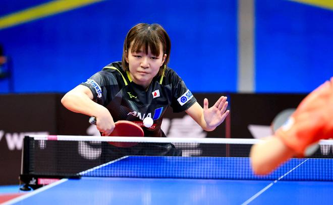 波格丹诺维 波格丹诺维