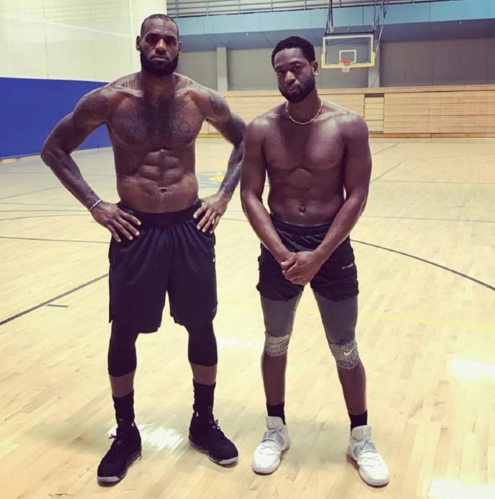 短顺分导 短顺分导